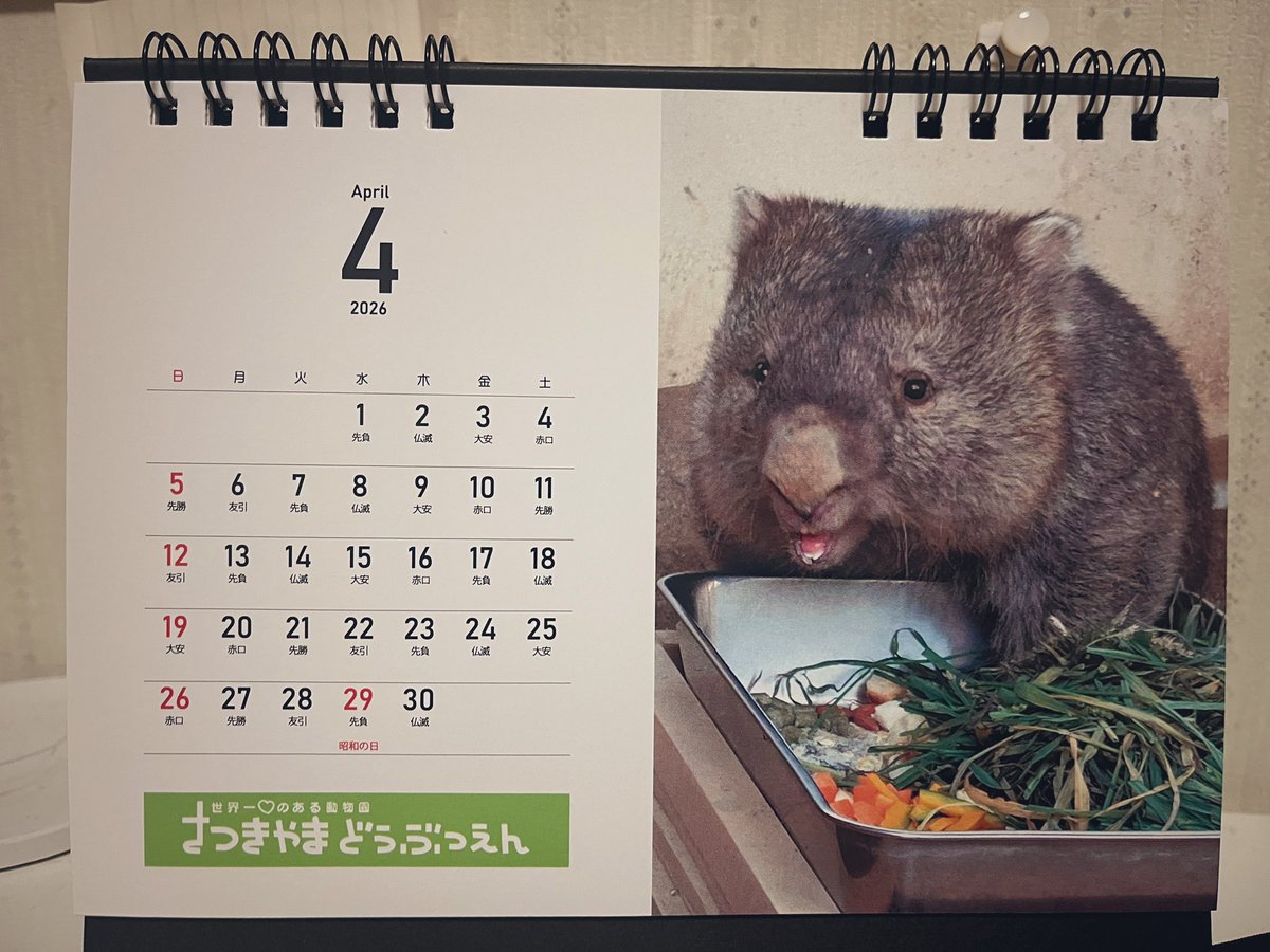 人生ばた子 tweet media