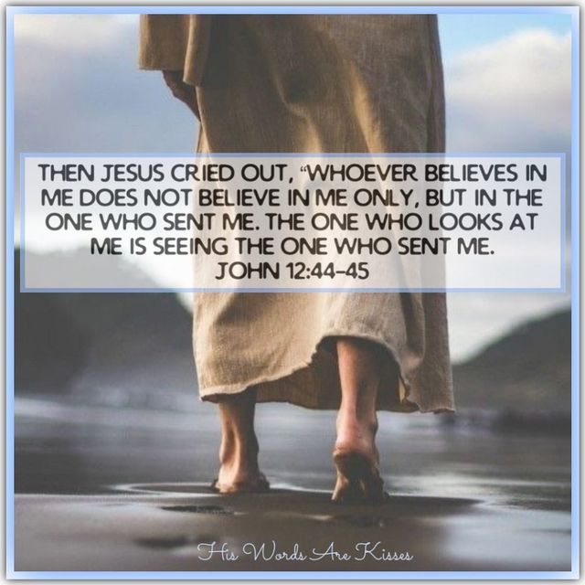 Michael Wolford tweet media