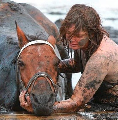 Creepy.org tweet media