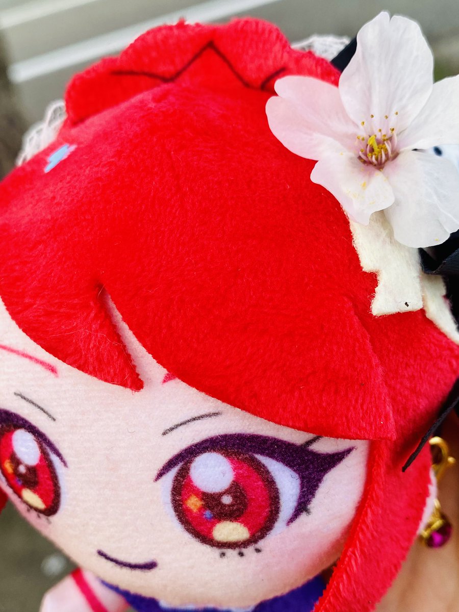 あおい♪ tweet media