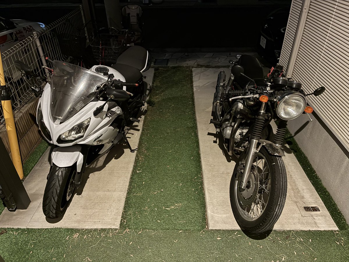 しまうま tweet media