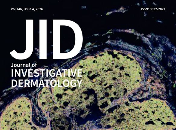 TodoDermatitis tweet media