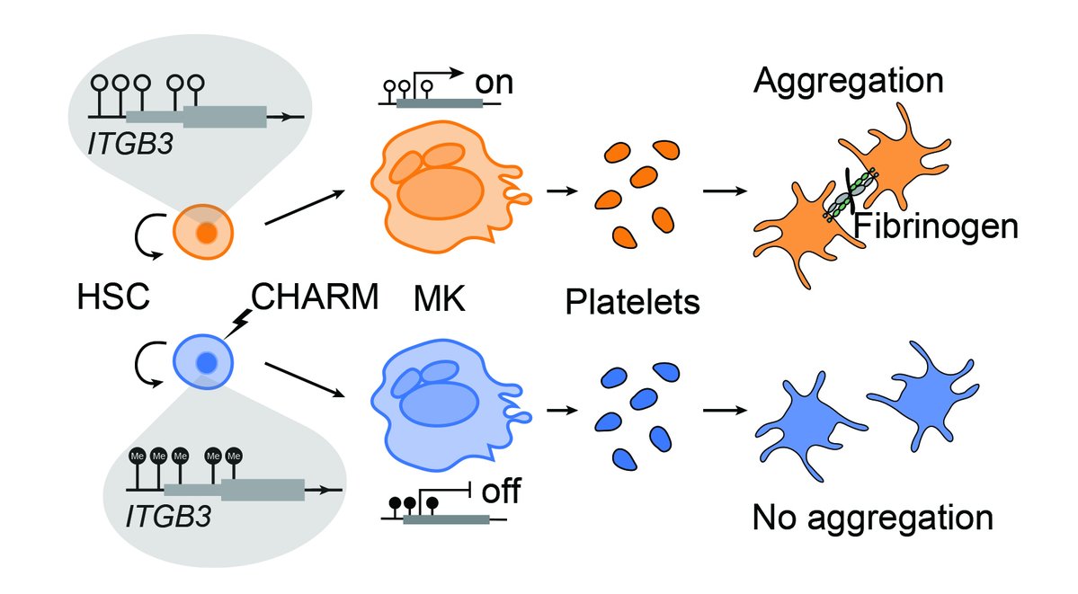 Vijay Sankaran tweet media