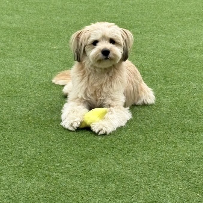 구심뉵 tweet media