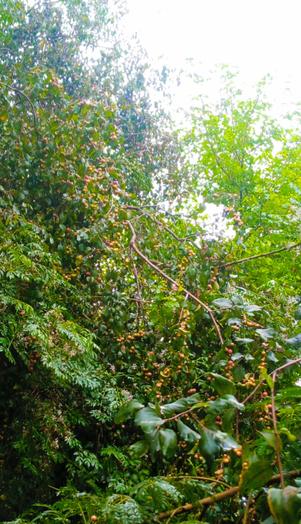 𝐒𝐮𝐩𝐞𝐫 𝐆𝐢𝐫𝐥 𝟖𝟎𝟒 🇵🇰 tweet media