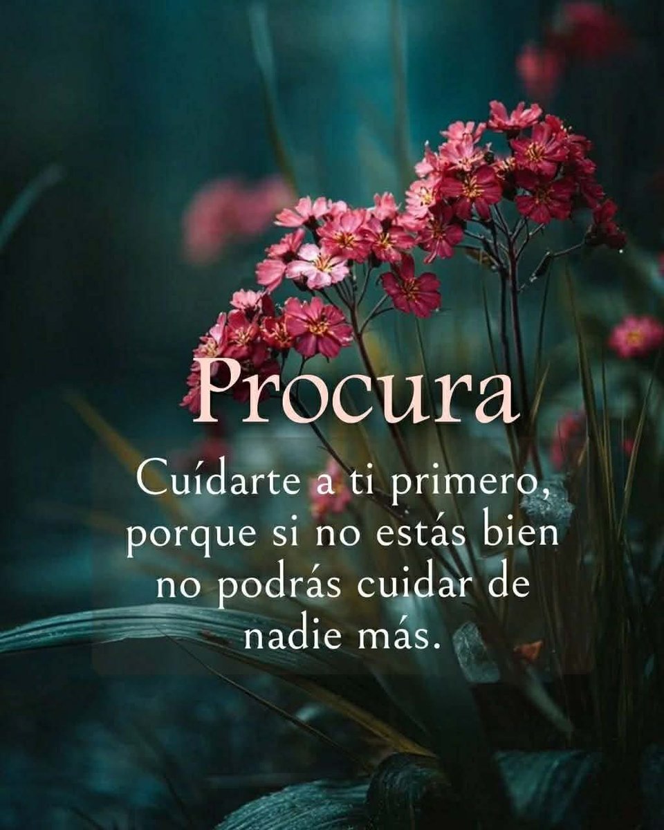 VidaEquilibrada tweet media