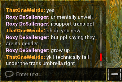 'I support trans ppl, but...'