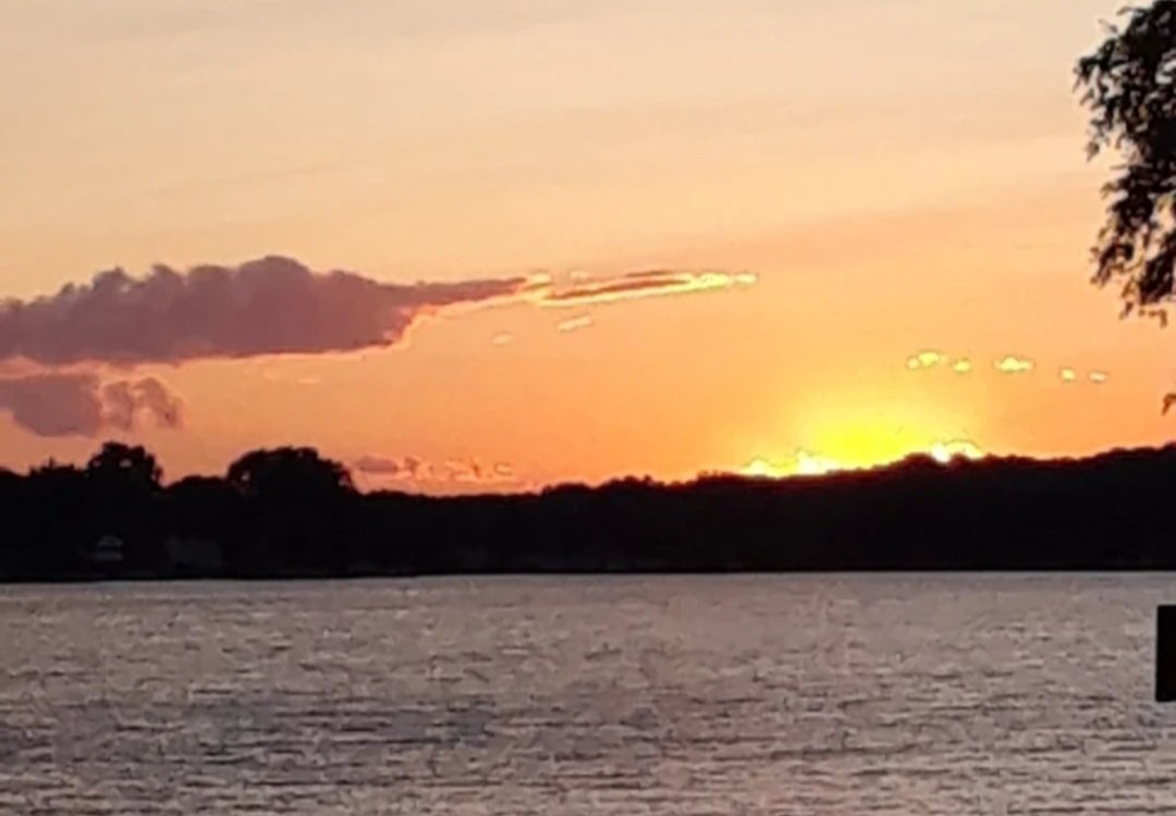 Mama Scar tweet media