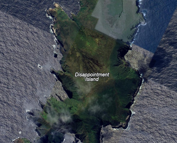 Schwachkopf Dinero tweet media