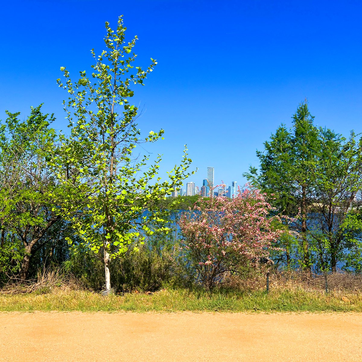 brice hammack tweet media