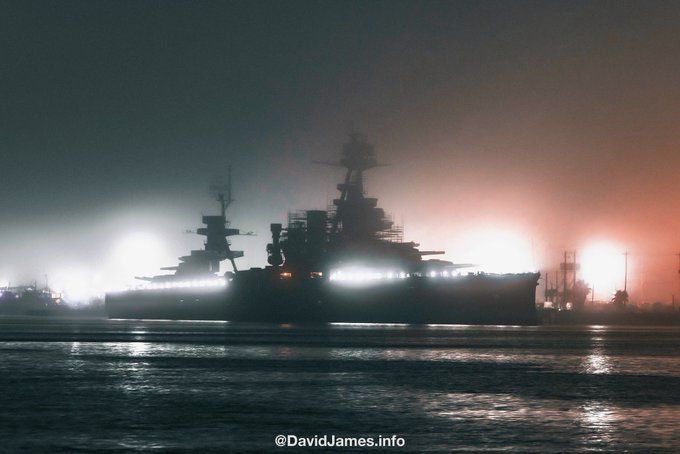 The Salty Dog Galveston tweet media