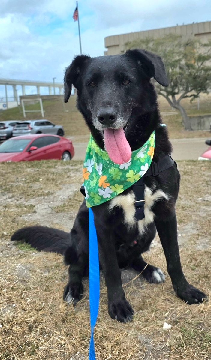 Lisa Brabson. tweet media