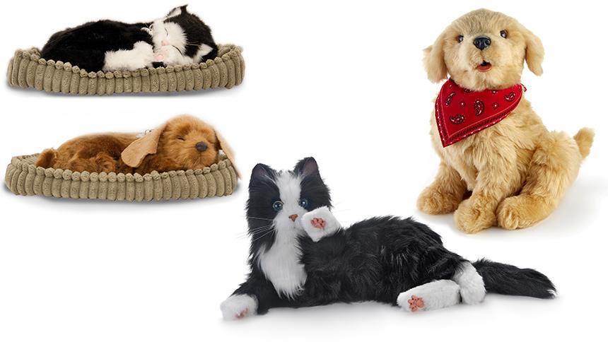 Karrie Marshall tweet media