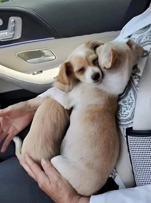 Ellađșđž tweet media