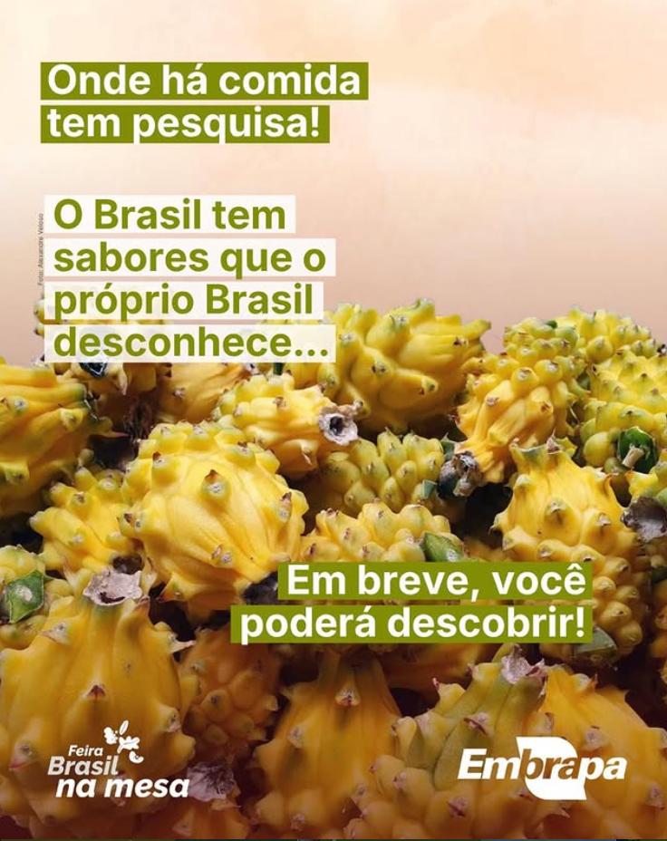 Embrapa Cerrados tweet media