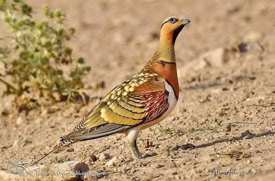 LaBella🪻 tweet media