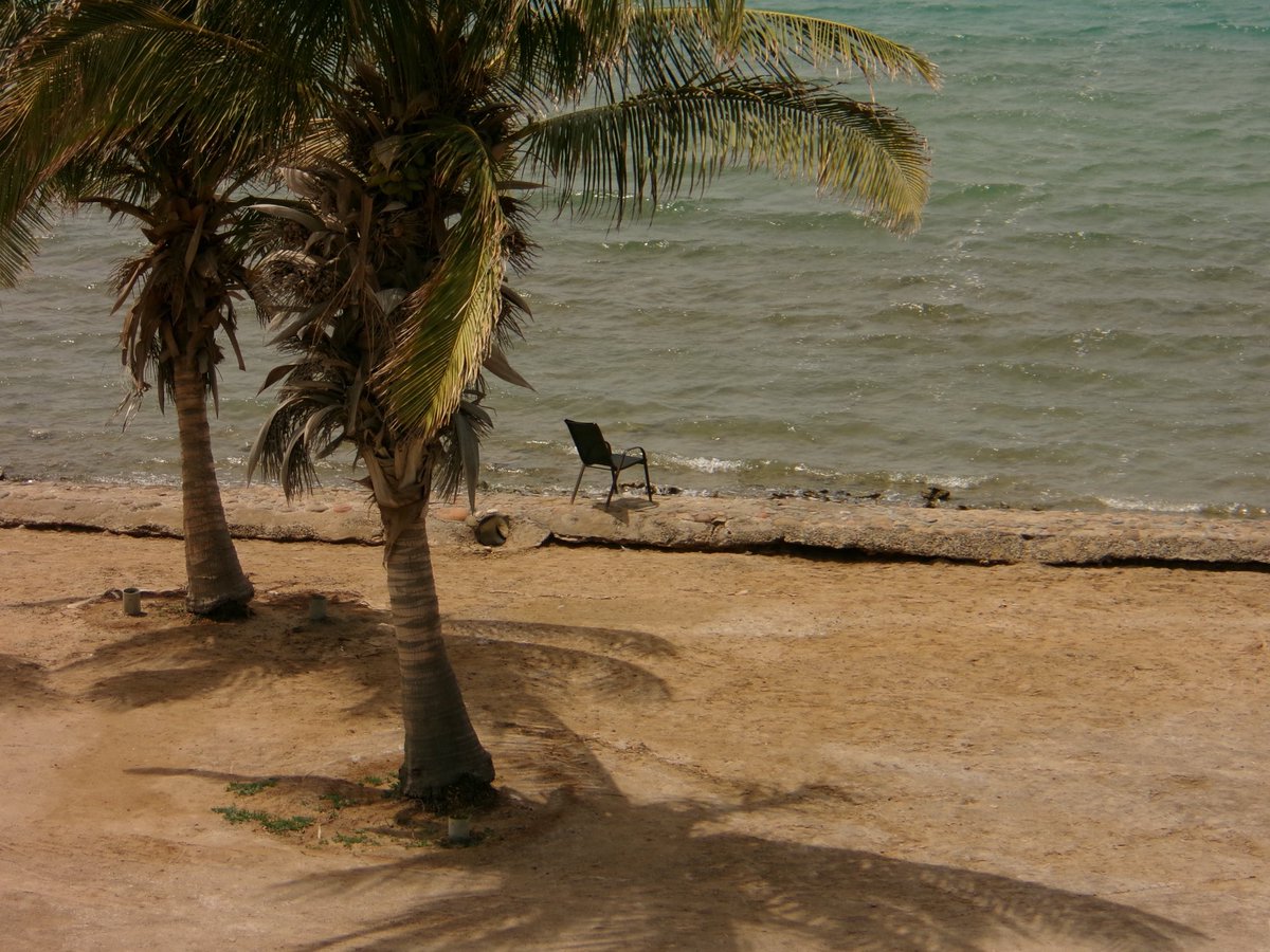 The dying of the light tweet media