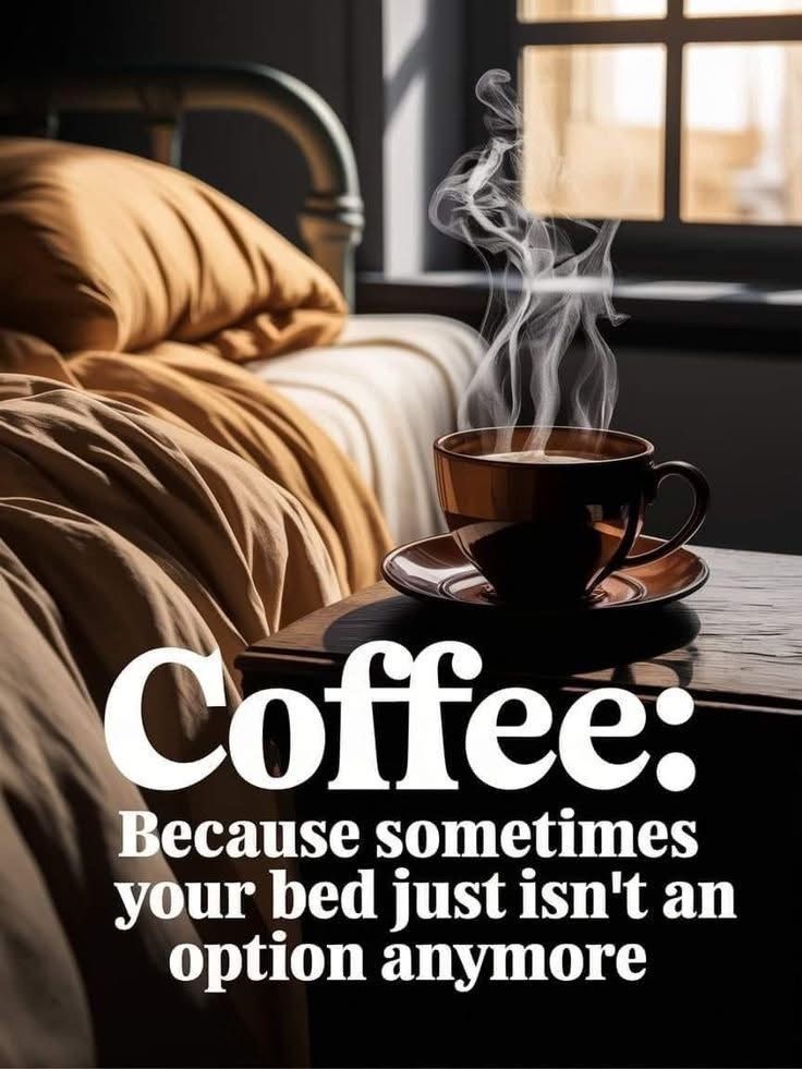 Wickedly Blinded tweet media