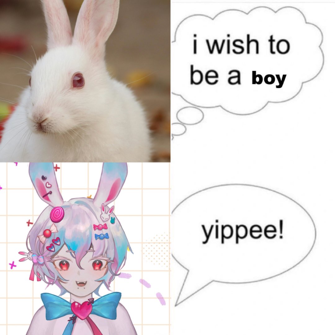 Ferris Lockheart 🐇🫀🔪 ENVtuber tweet media