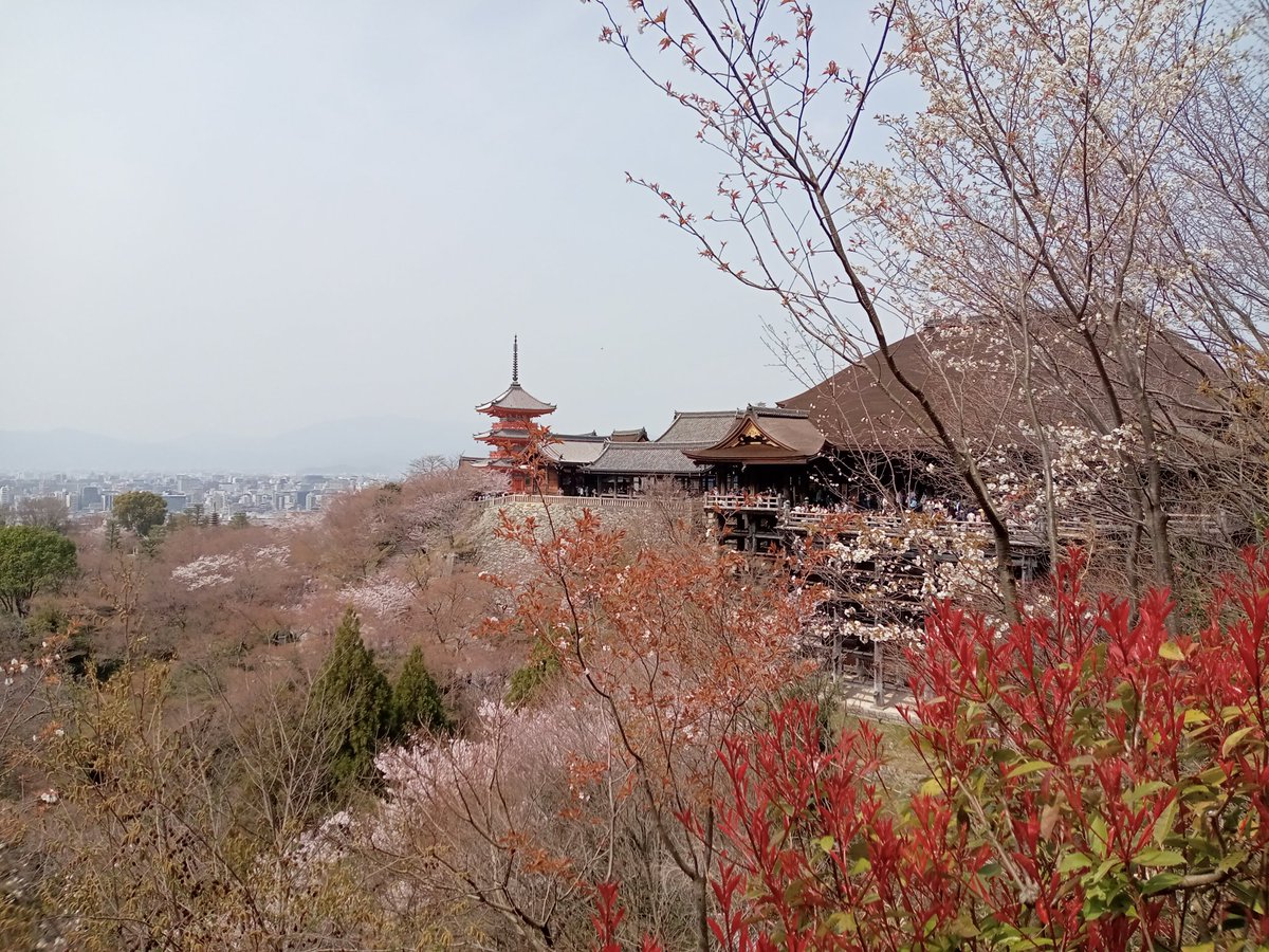 なまず tweet media