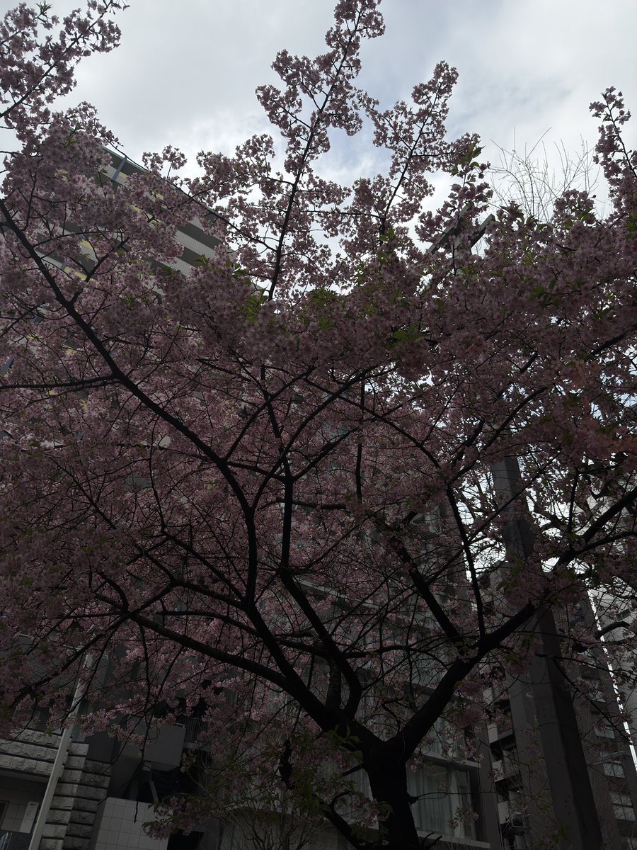 bandit (@statutoryrapist) on Twitter photo 