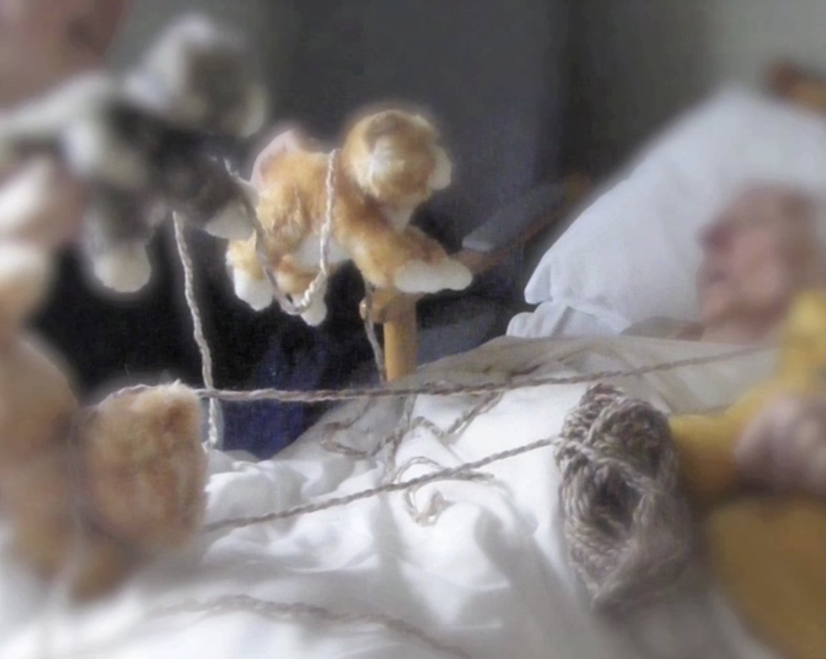 Karrie Marshall tweet media