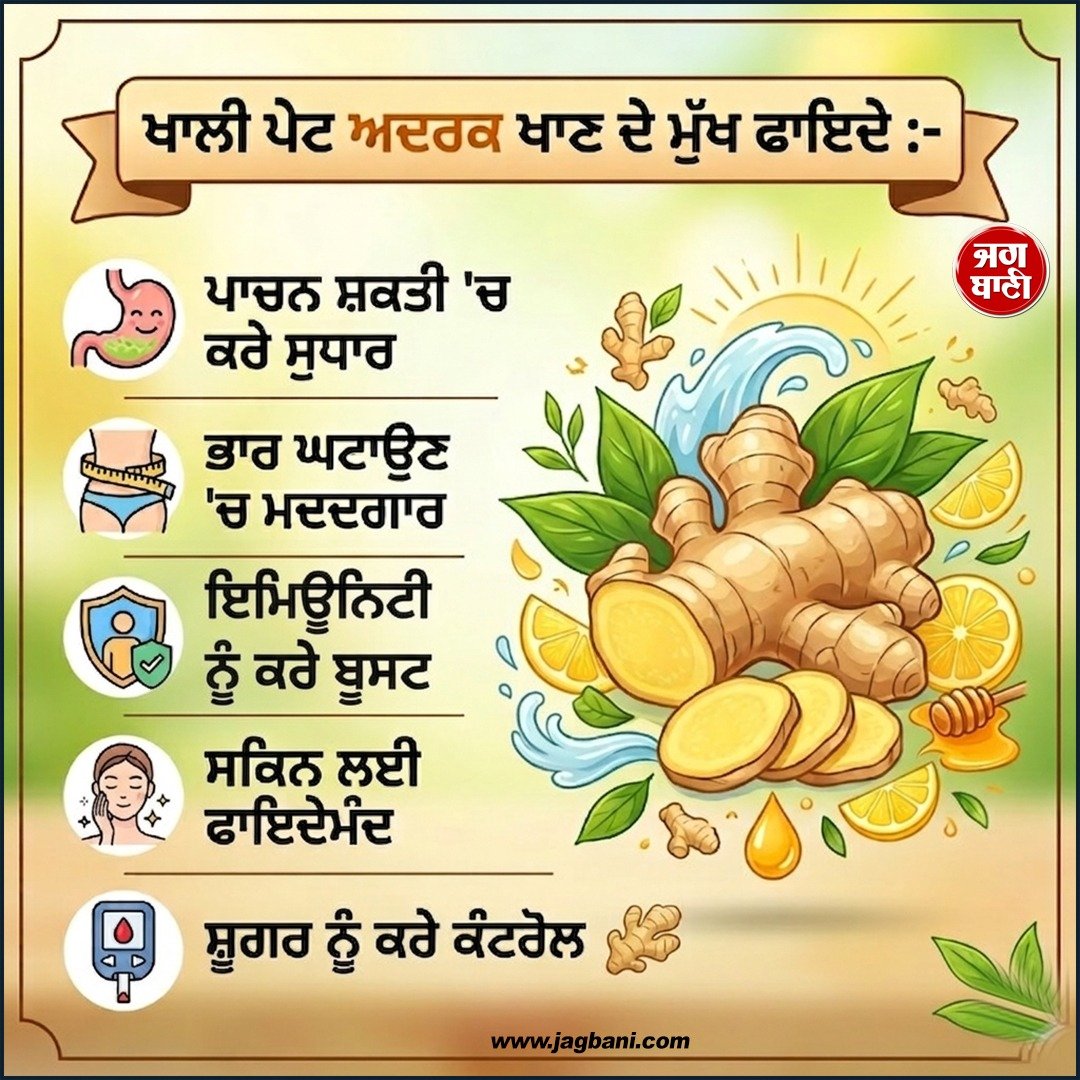 JagbaniOnline's tweet image. ਖਾਲੀ ਪੇਟ ਅਦਰਕ ਖਾਣ ਦੇ ਮੁੱਖ ਫਾਇਦੇ
#Ginger #Benefits #healthbenefits #Jagani