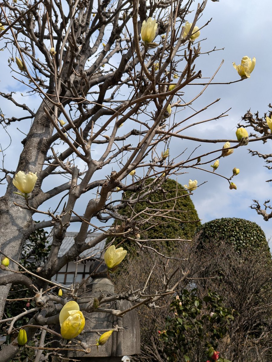 かまたゆ５２📎 tweet media