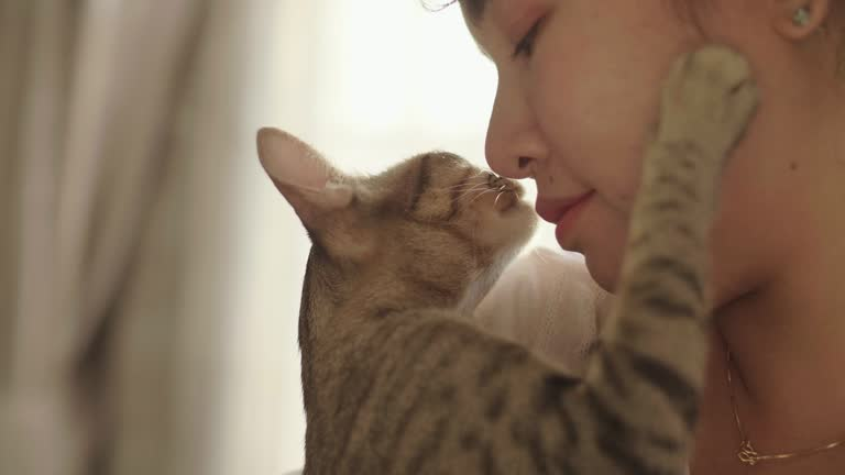 folkative tweet media