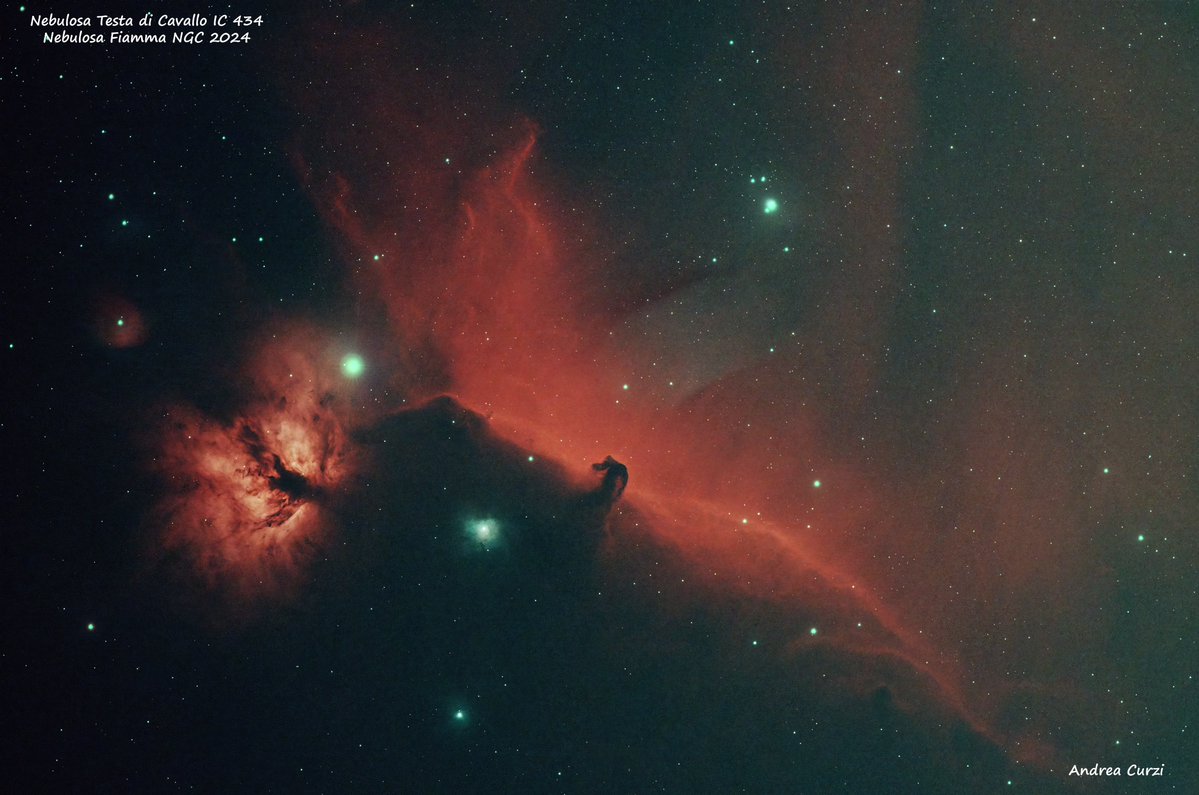 Andrea (AstroDanziger) Curzi tweet media