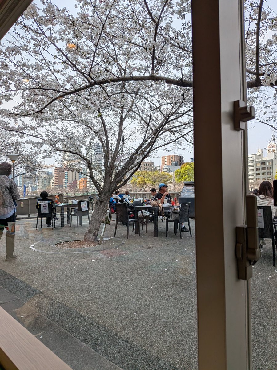 hide_R34's tweet photo. 仕事の用事で用事で中之島にきて昼にマクドに寄ったら桜は満開だった
店の中から快適に花見しながら食べられるってこの店の立地神懸かってるな
普段でも景色良いんだろうけど https://t.co/ruAPW7z8Rv