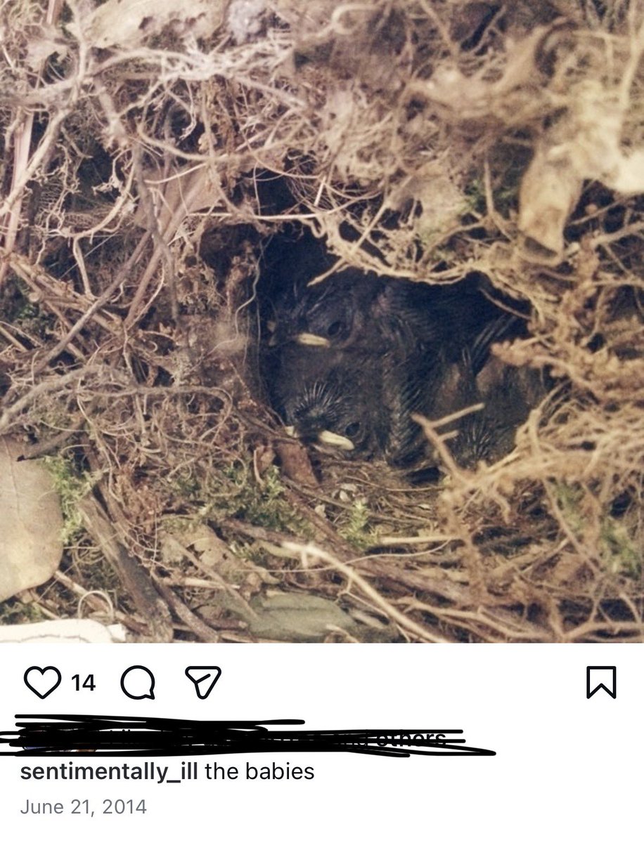 handsome gretel tweet media