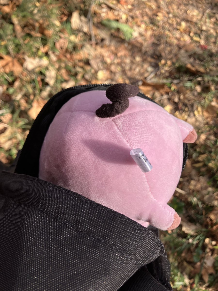 ひろみ tweet media