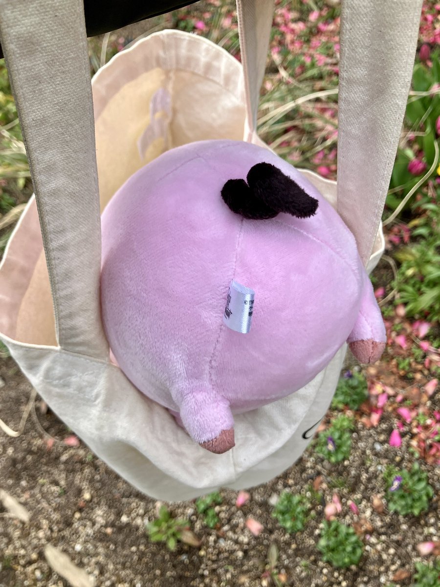 ひろみ tweet media