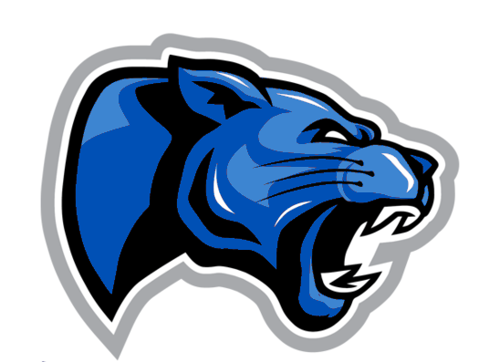 New South Athletic Conference tweet media