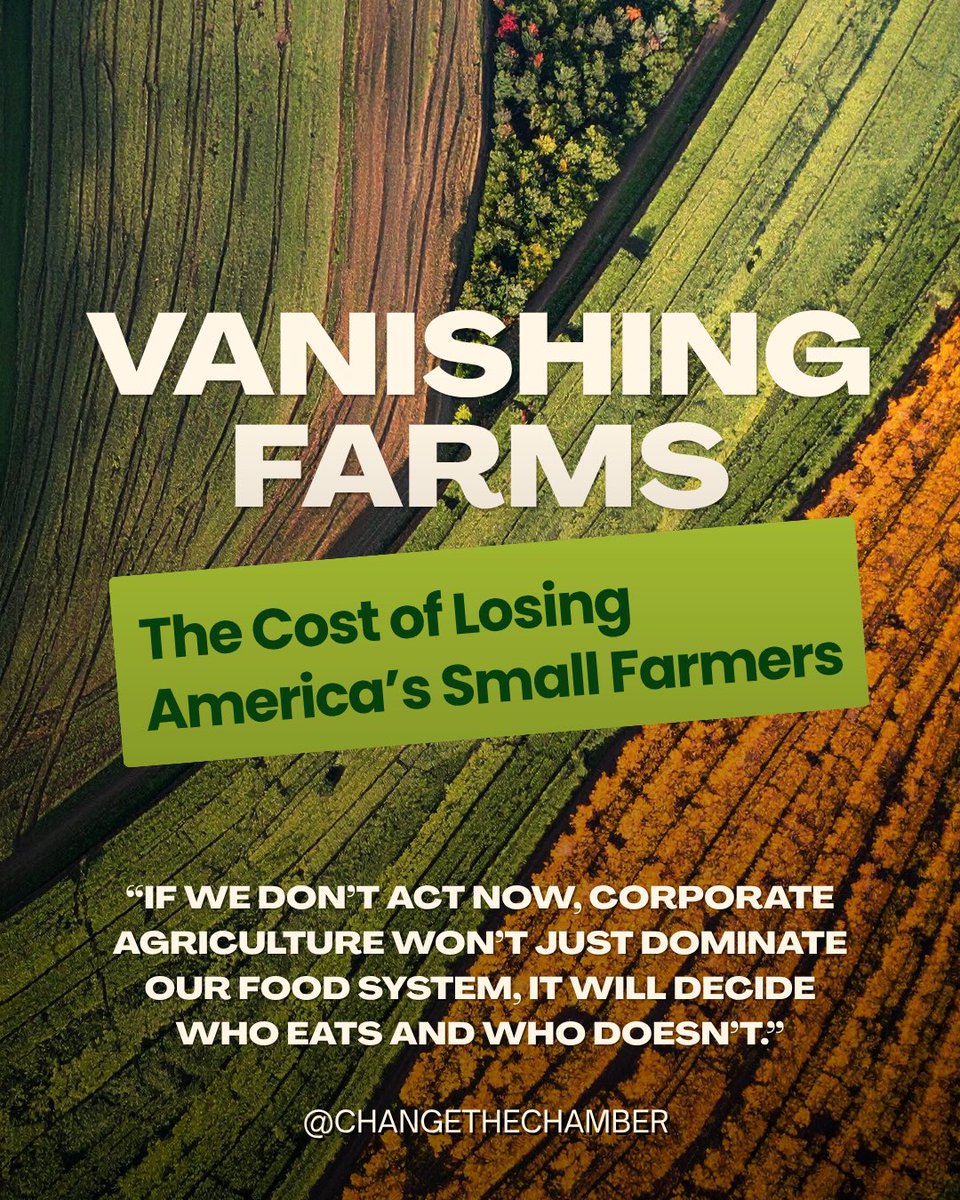 ChangeUSChamber's tweet image. 🌽 Small #farms are disappearing, and so is your control over what you eat.

🚜💸 𝐃𝐞𝐫𝐞𝐤 𝐆𝐚𝐥𝐢 𝐌𝐚𝐫𝐭𝐢𝐧𝐞𝐳 exposes how corporate power is squeezing out local farmers, and why it matters to everyone.

🔗 𝐋𝐞𝐚𝐫𝐧 𝐰𝐡𝐚𝐭’𝐬 𝐝𝐫𝐢𝐯𝐢𝐧𝐠 𝐭𝐡𝐢𝐬 𝐜𝐫𝐢𝐬𝐢𝐬