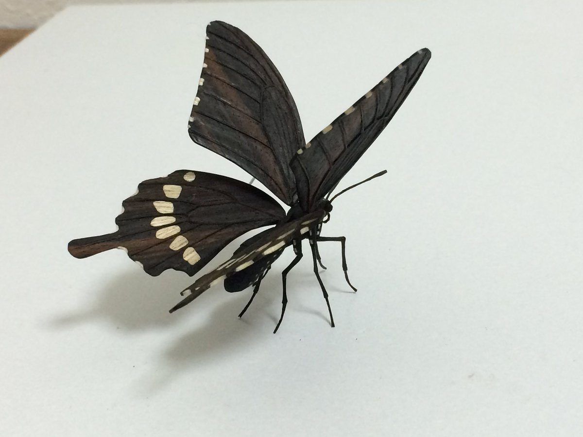 FUKUDA Toru 福田 亨 tweet media