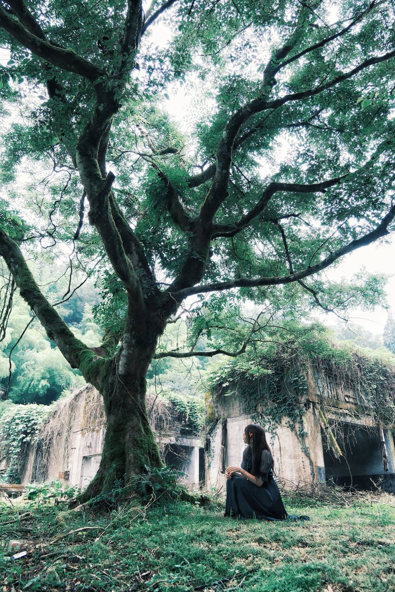 yu-san@岡山 portrait tweet media