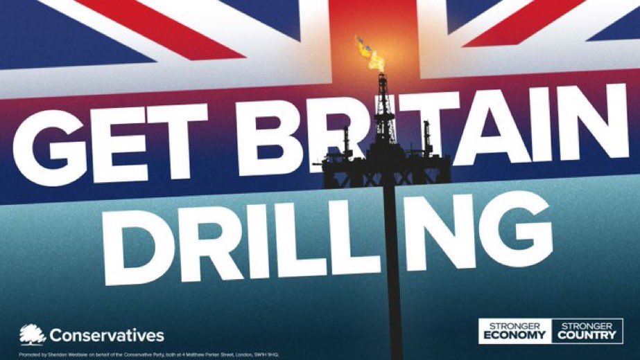 Auden Shirley tweet media