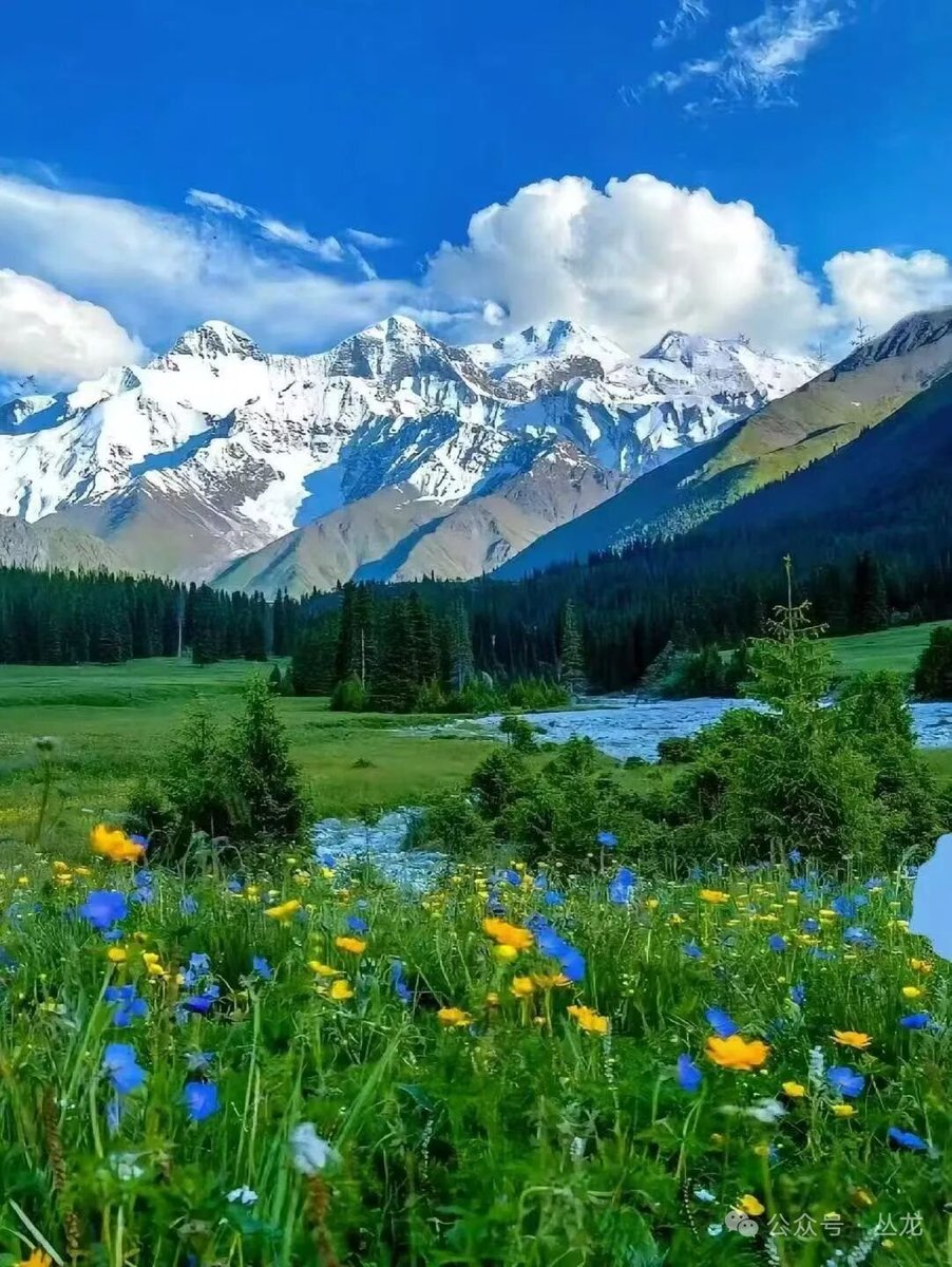 爱生活（互关） tweet media