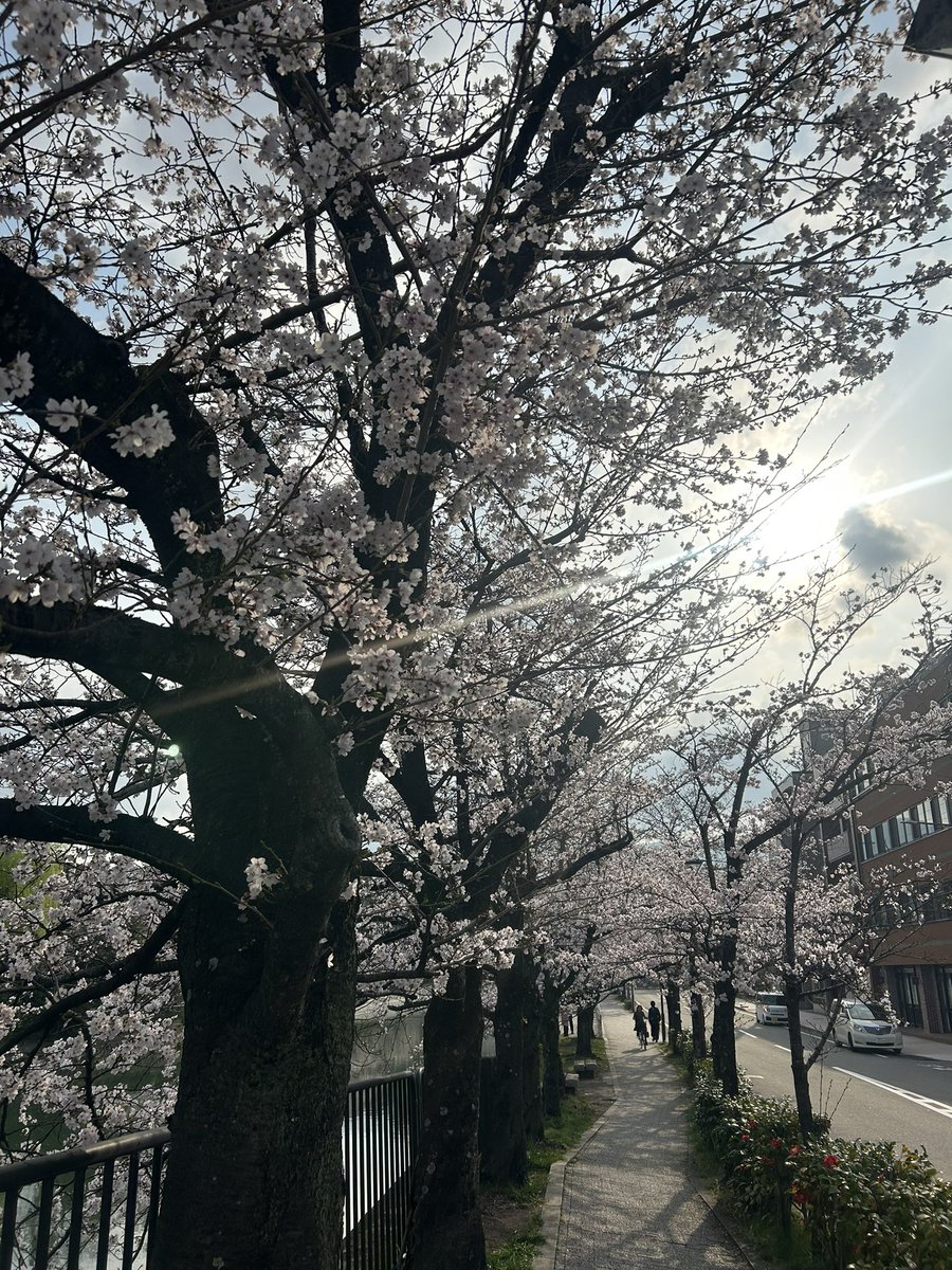 みっれー🦌🐺【フェレ喪中🌈】 tweet media