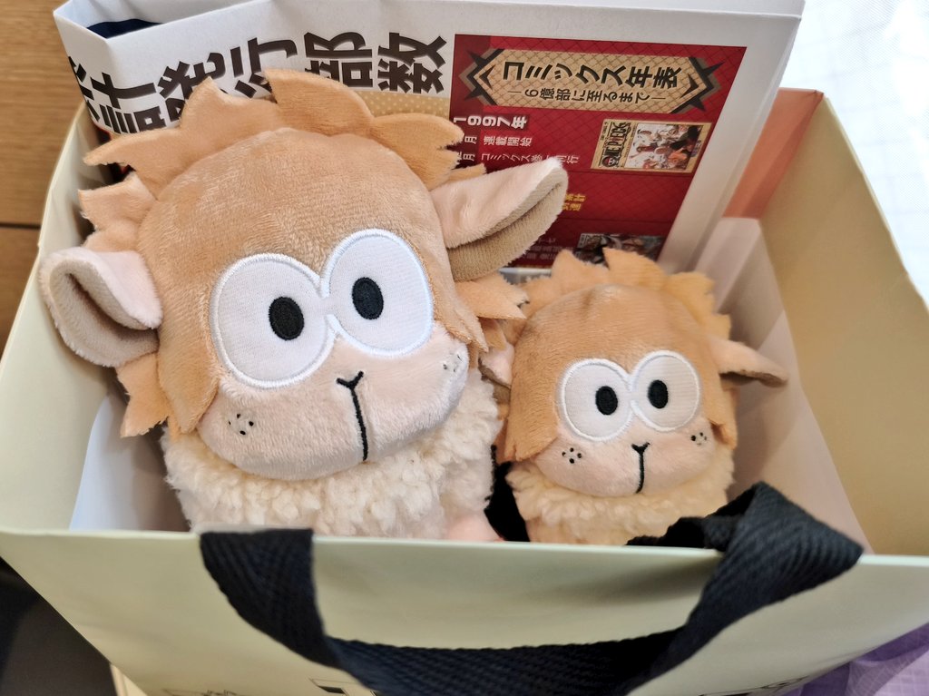 nochi🐥 tweet media