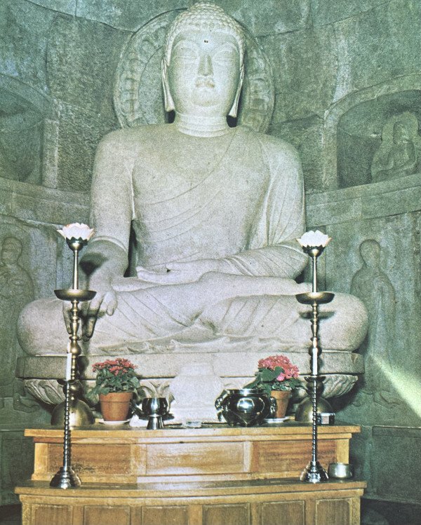 늘푸른소나무 tweet media