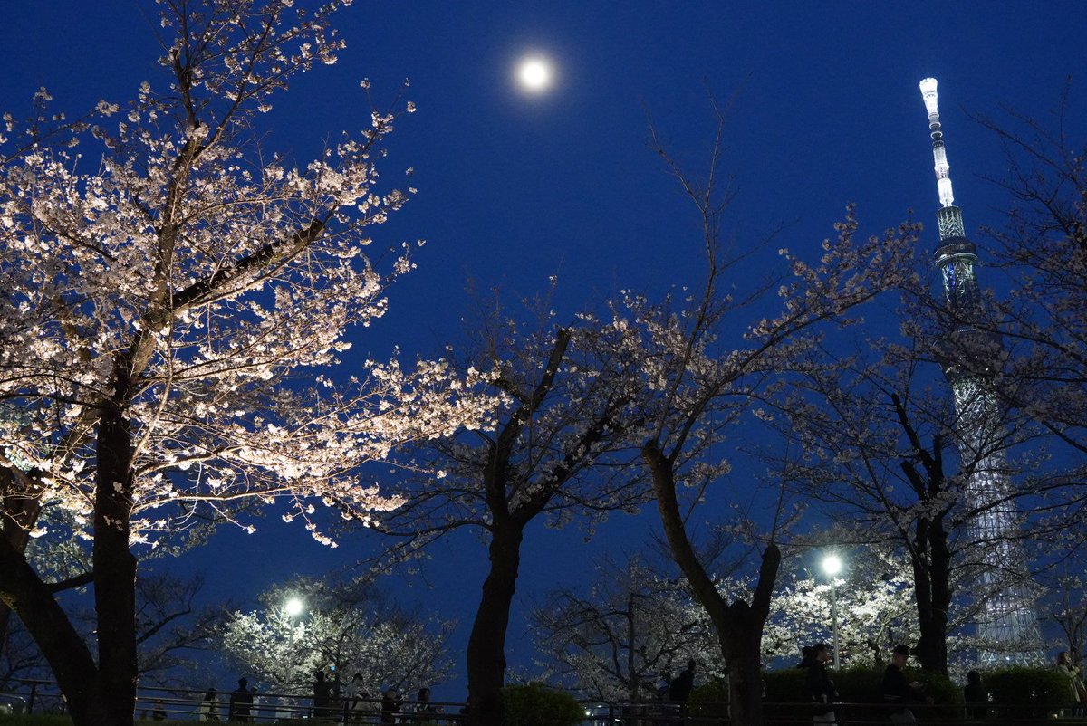 すえきち tweet media