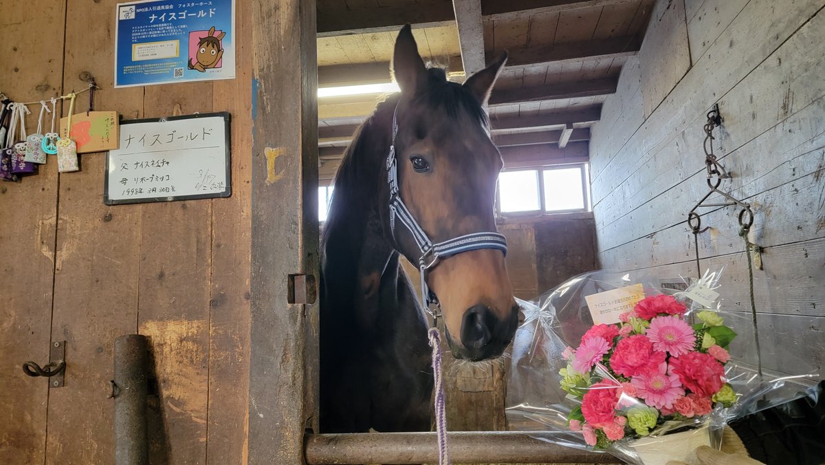 浦河渡辺牧場 tweet media