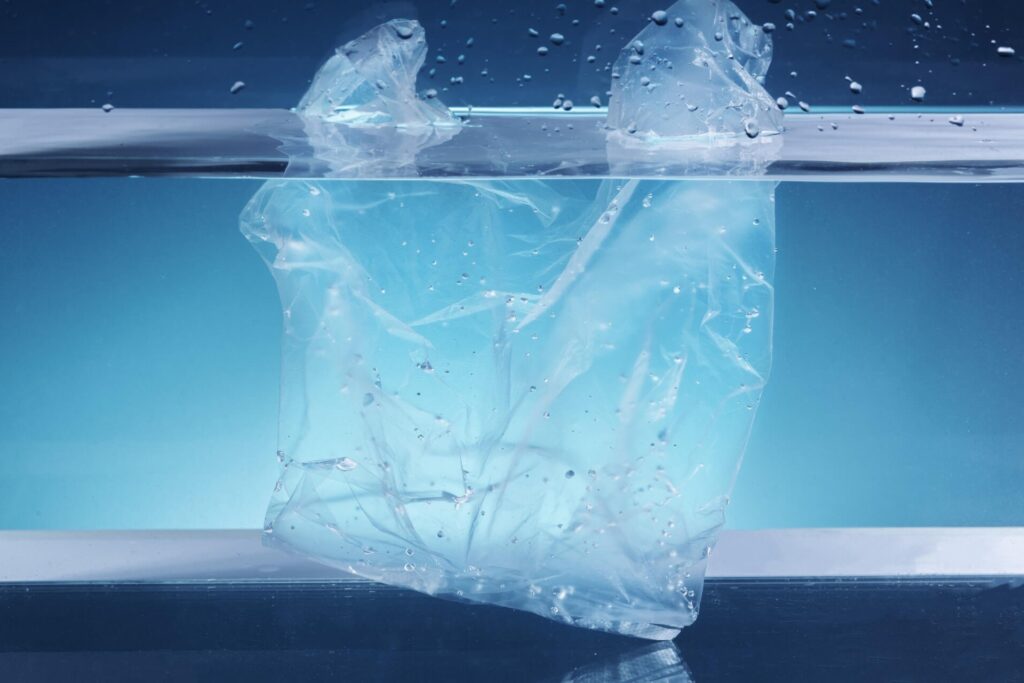 Peito da bio tweet media