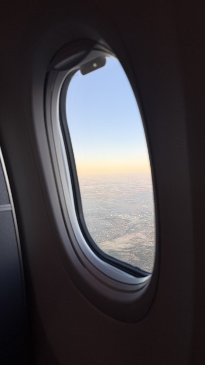 Sol Rosa tweet media