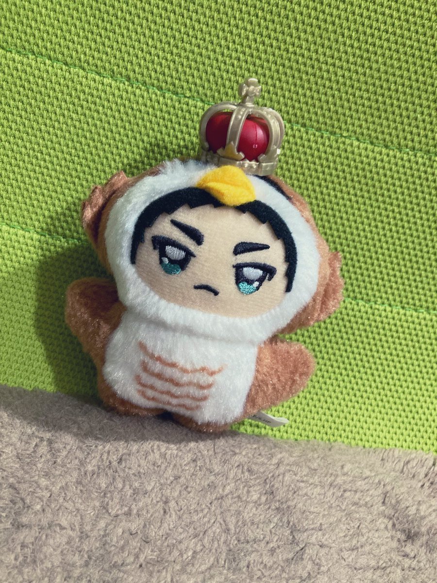 彩羽(いろは)🦙🍠 tweet media