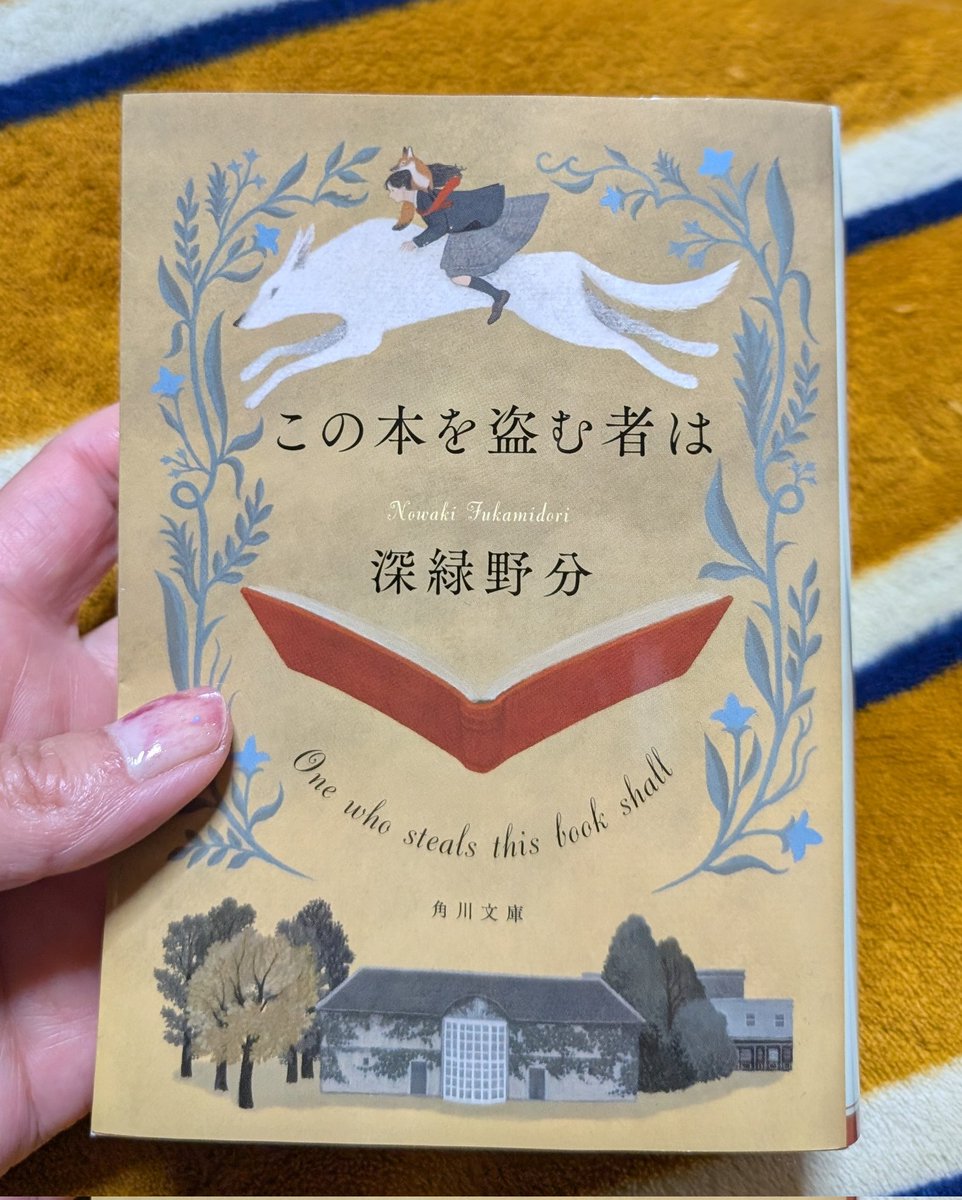 しましまと水玉 tweet media