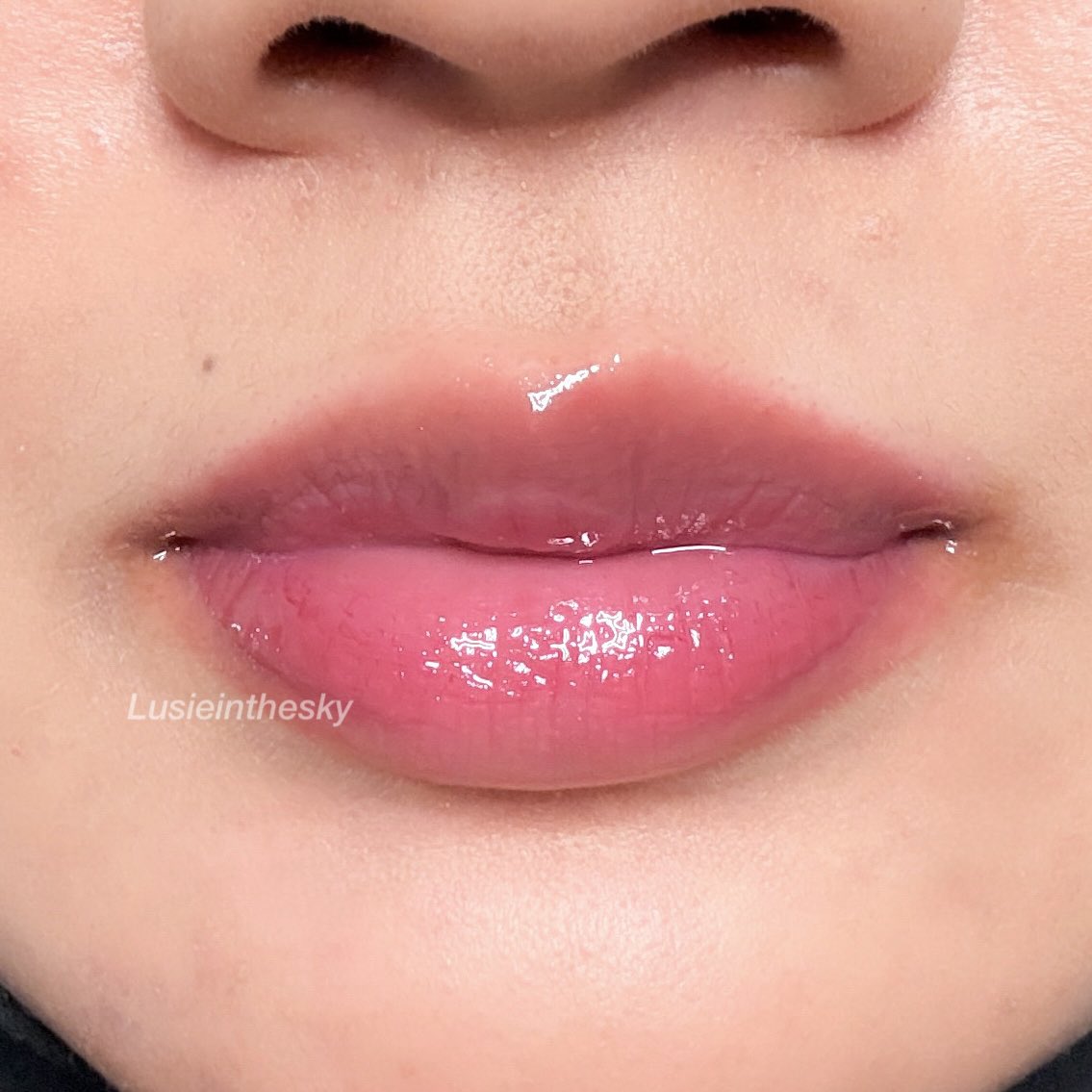 Lusie 🐾 tweet media